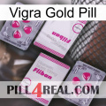 Vigra Gold Pill 33